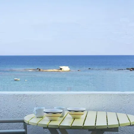 Anemoessa 阿波罗尼亚