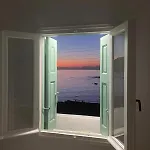 Anemoessa * ポロニア