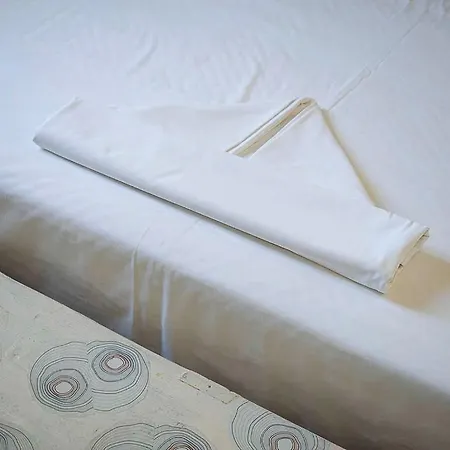 Ξενοδοχείο Anemoessa *